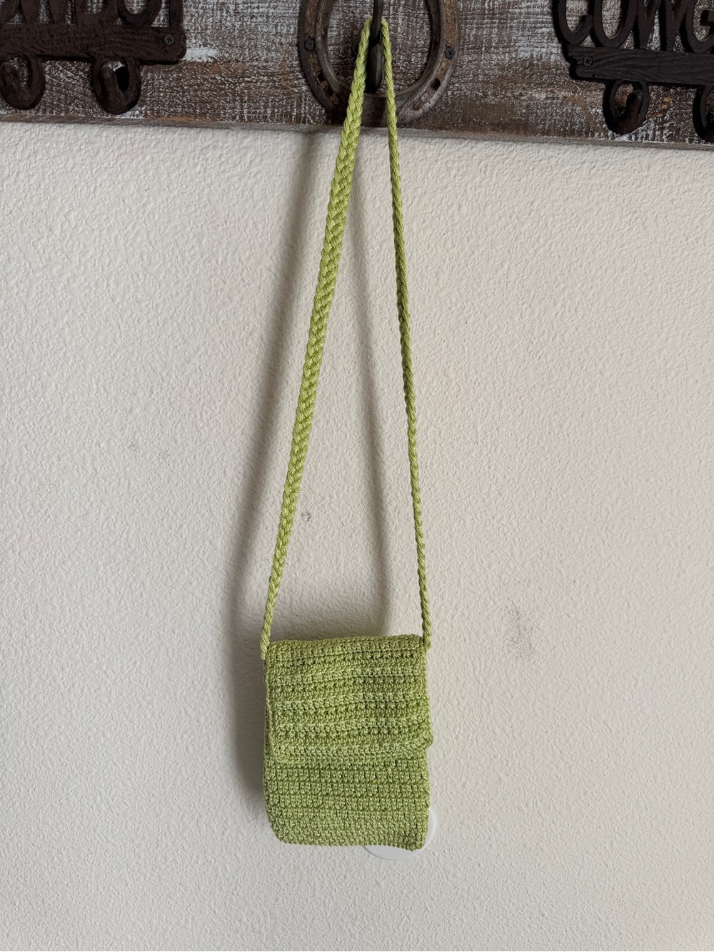 The Sak Light Green Handwoven Crossbody Bag